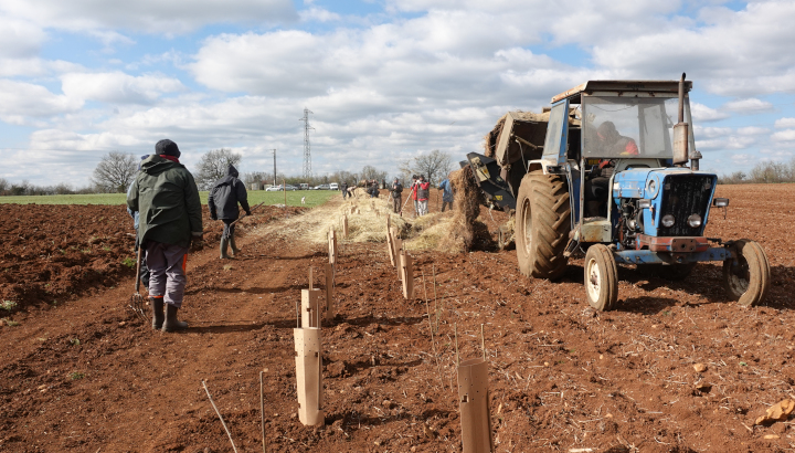 Chantier participatif : plantation de haies